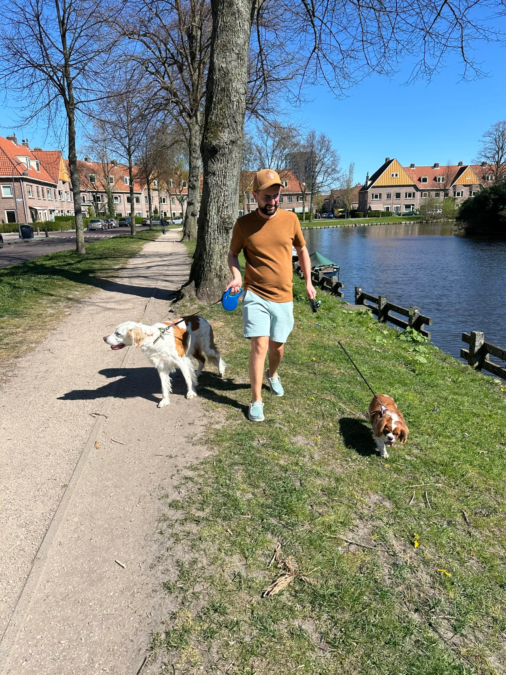 Guest at dog boarding Haarlem