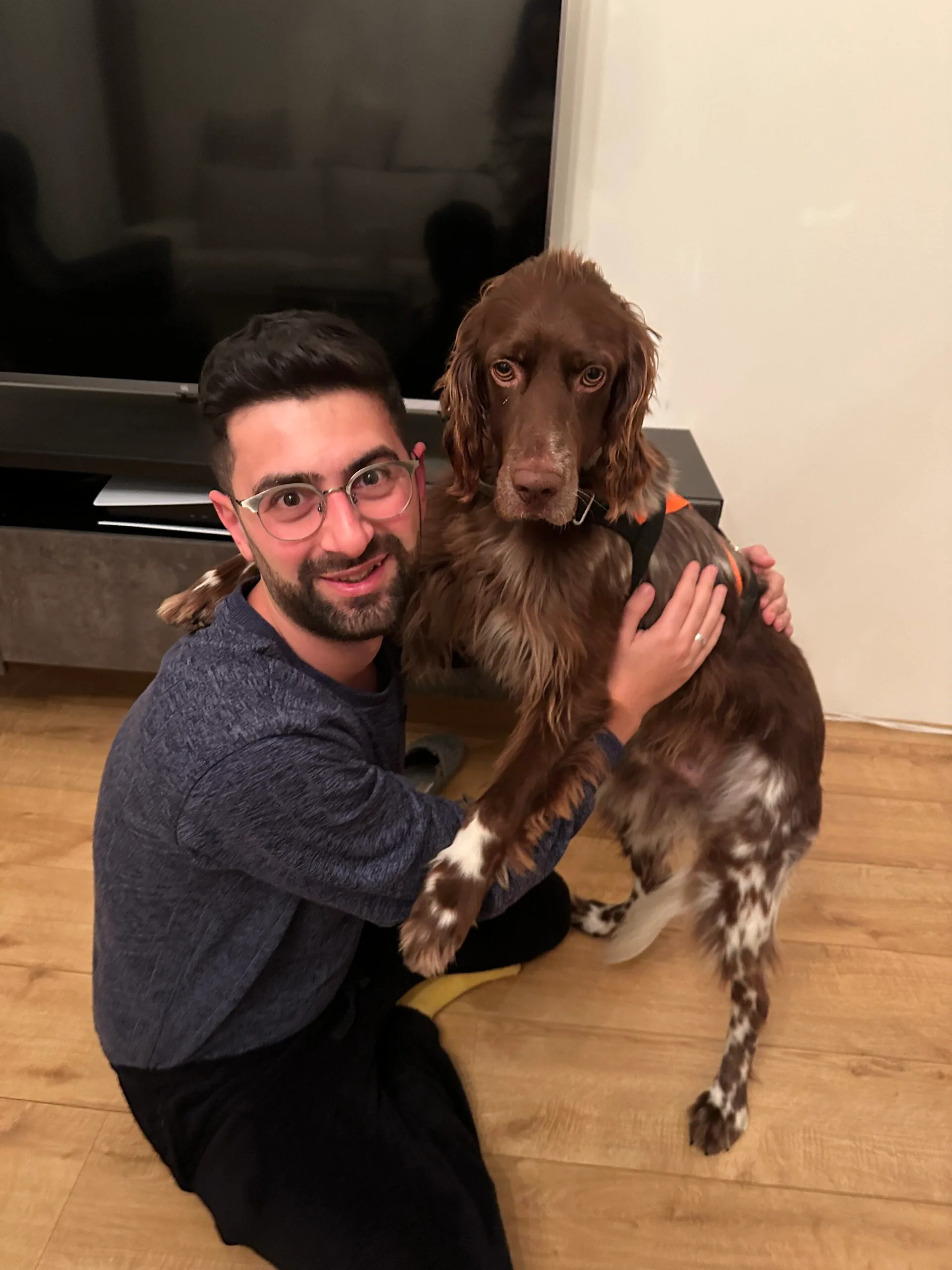 Guest at dog boarding Haarlem
