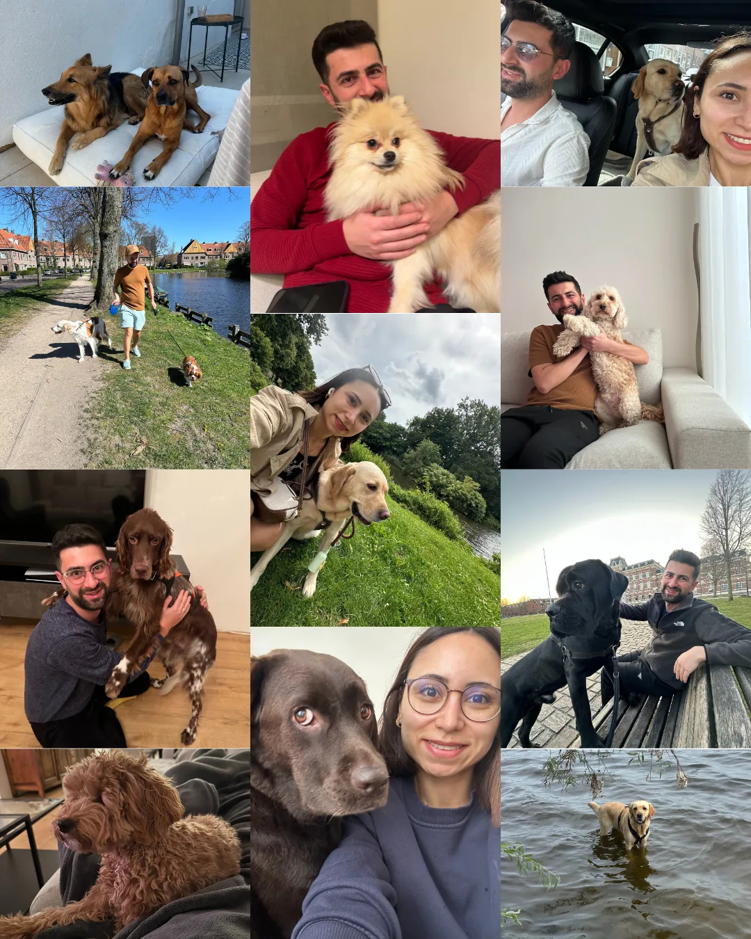 Hond ontspannen thuis bij de hondenopvang in Haarlem